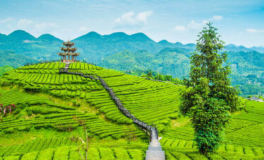 Ooty, Kodaikanal, Munnar, Thekkady, Madurai, Rameswaram, Kanyakumari, Kovalam, Alleppey, and Kochi