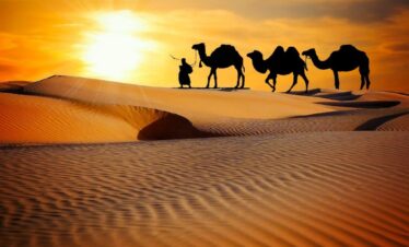 rajasthan 3