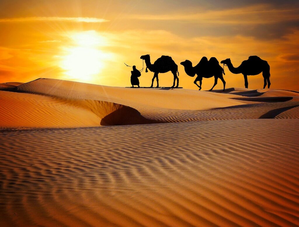rajasthan 3