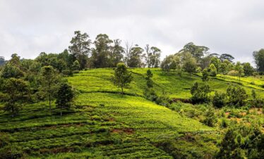 southindia 1